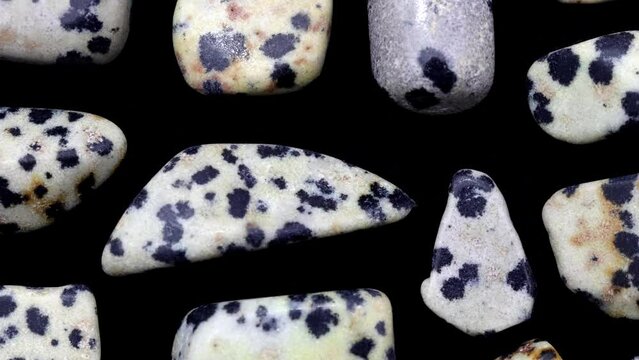Dalmatian jasper rare jewel stones texture on black background. Moving right seamless loop backdrop.