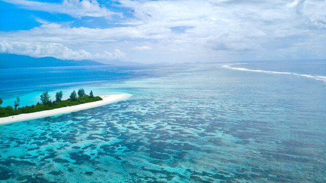 Coral Coastline