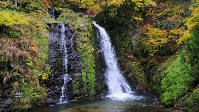 紅葉する森から落ちる滝