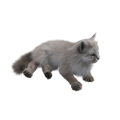 cat isolated on white background, 3D illustration, cg render