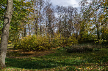 Park w Iwoniczu koło dworu Załuskich 