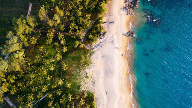 Amazing top view beach Aerial view of Tropical beach sea in the beautiful Phuket island Thailand,Beautiful light sunset or sunrise time landscape © panya99