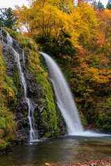 紅葉する森から落ちる滝