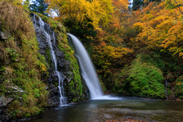 紅葉する森から落ちる滝