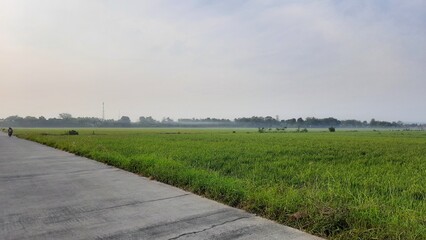 landscape in the morning