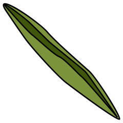 Green pea vector illustration in line filled design