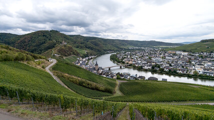 Naklejka premium Landscape photo Vineyards with castle in Bernkastel on the Moselle in Rhineland-Palatinate, Germany. cloudy sky