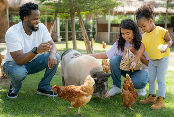 African american family go to travel in animal farm in Thailand
