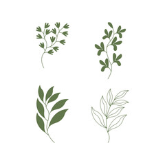 Green leaf collection. branch, leaf, tropical leaf, essential. Perfect for vector element designs,