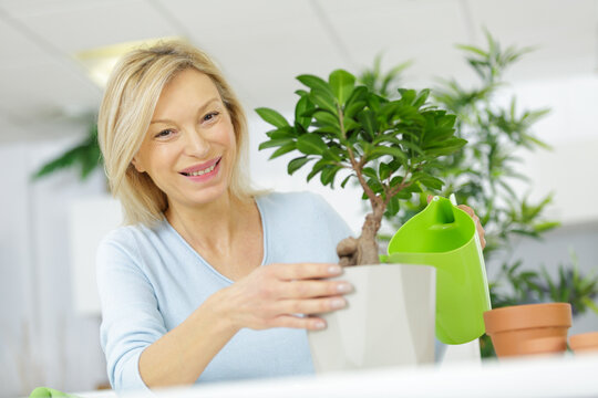 happy woman mature watering bonsai - Powered by Adobe