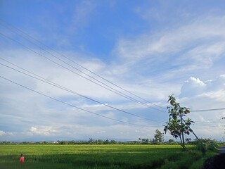 lines in the countryside