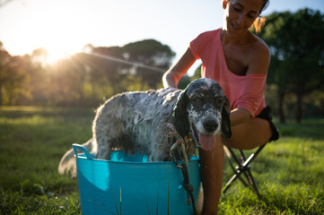 Middle-aged woman bathing her dog in the garden on a sunny day. Pet care concept.