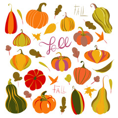 Autumn set with images of pumpkins and leaves in warm tones. Vector stickers for design in polygraphy