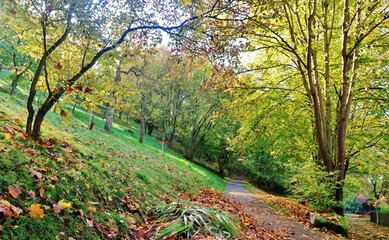 Würzburg, Herbst auf dem Festungsberg