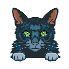 Russian Blue Cat Color Vector, Peeking Cats, Cats Breed, Pet Vector portrait, Cats Head