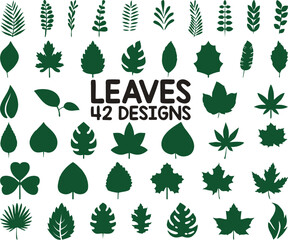 42 Leaves Designs Vector