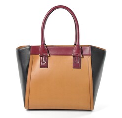 Modern leather Women's bag isolated on white background