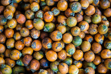 Cut betel nut or Areca nut
