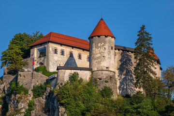Fototapeta na wymiar The Bled Castle In Slovenia
