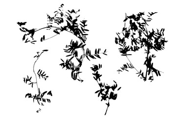 Black abstract vector background with leaves.