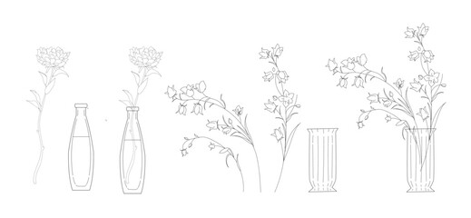 Wildflower with glass vase and bottle vector hand drawn illustration set, floral collection, botanical elements