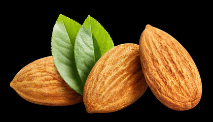Close-up of almonds with leaves, isolated on black background