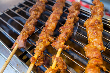 shish kebab on a skewer