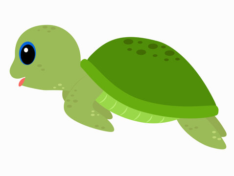 cartoon vector green cute baby turtle