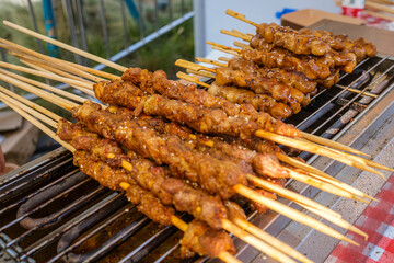 shish kebab on the grill