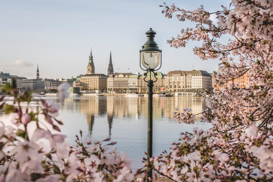 Germany, Hamburg, Inner Alster Lake in spring with street light and cherry blossom branches in foreground