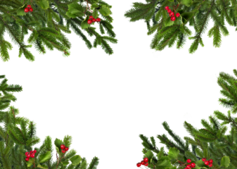 Natural green Christmas tree branches framery with red hawthorn berries, blank copyspace isolated