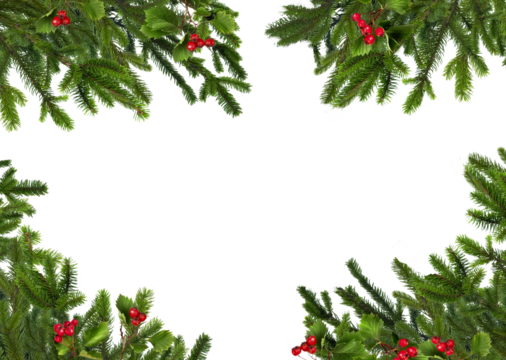 Natural green Christmas tree branches framery with red hawthorn berries, blank copyspace isolated