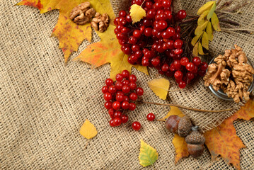 Autumn leaves and guelder rose on burlap