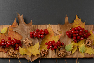 Autumn leaves and guelder rose on wooden background
