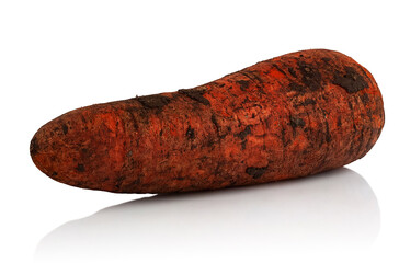 Dirty raw carrot
