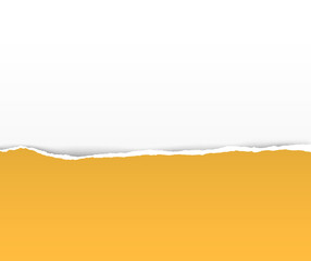 Torn paper on white background with space for text. Vector illustration.