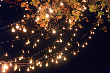String of Lights with Black Sky and leaves in the background