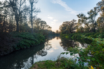 Rivers junction with trees around during autumn afternoon