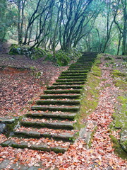 Surroundings of the Cueva de Santimamiñe, Kortezubi, Vizcaya, prehistoric cave, remains and cave...