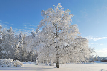 Park in Imatra in winter