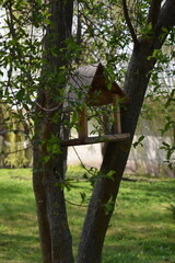 Cute little birdhouse in the forest. High quality photo