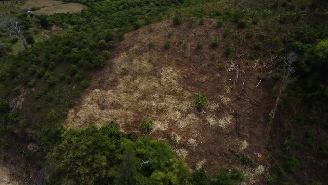 Dry burned patch of land for deforestation process in South Vietnam, Phuoc Bingh National Park