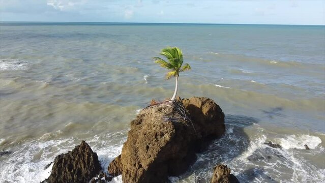 Tambaba Beach Drone Flys around solo Rock with Palm Tree on top In Ocean.
João Pessoa, Brazil by Drone 4k
Aerial Travel + Nature