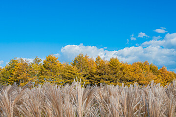 秋のモエレ沼公園の風景