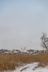 Winter landscape with snow and reeds, orthodox church on background, flying bird in the sky
