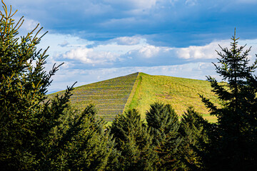 秋のモエレ沼公園の風景