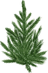 Evergreen pine tree with Christmas lights. Watercolor illustration. Farmhouse Christmas tree on the transparent background.