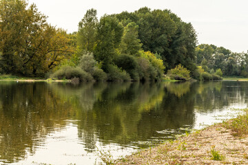 Spiegelung einer Baumreihe in einem Fluss