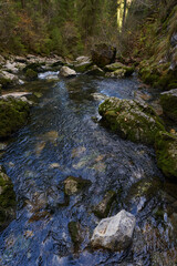 Naklejka na ściany i meble River from a karst spring in the mountains