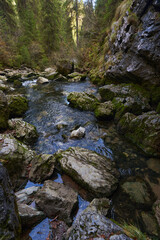 Naklejka na ściany i meble River from a karst spring in the mountains
